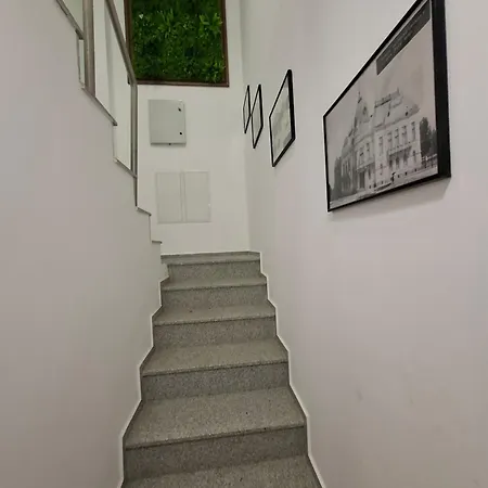 Charm 4 דירה רוסה